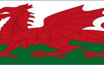 Image for Huws Called up for Wales