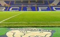 Image for Birmingham City set to sign great Dane
