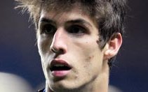 Image for Chickens chasing Lucas Piazon!