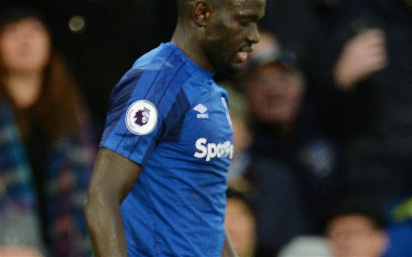 Image for Oumar Niasse makes decision on future after leaving Everton