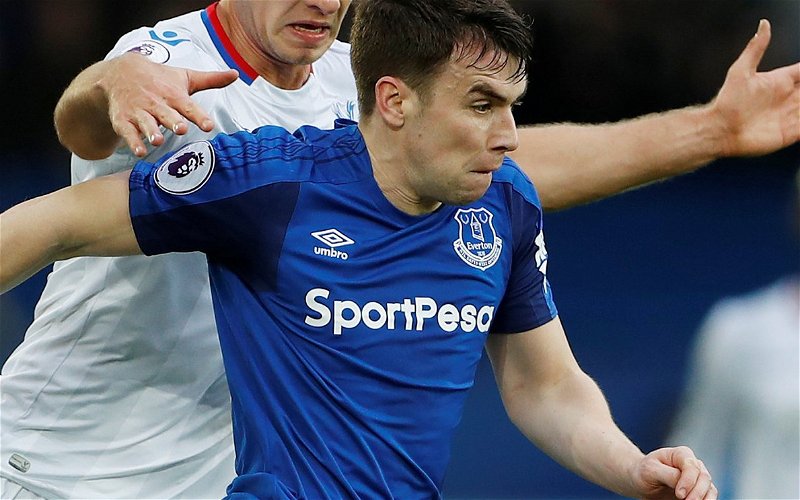 Image for Everton Defender Gets Republic Of Ireland Call