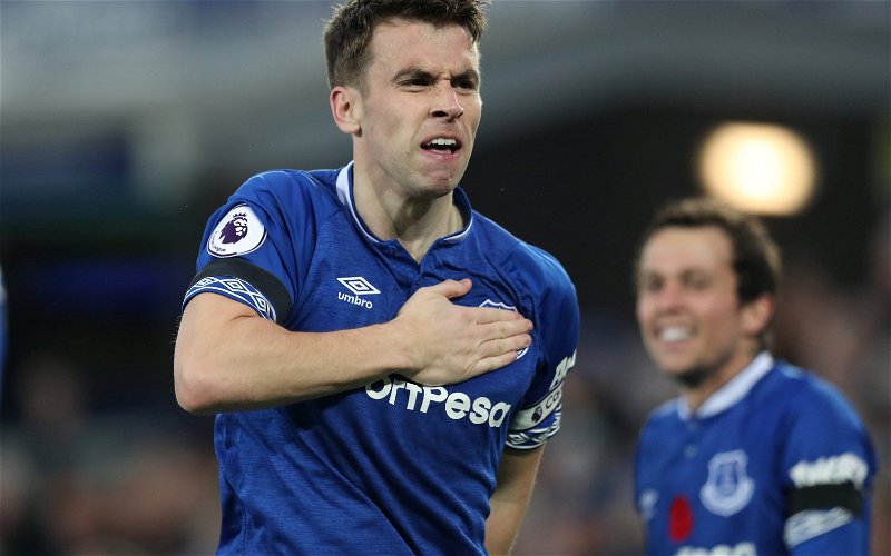 Image for ‘Brilliant’, ‘Class’, ‘He’s mustard’ – some fans laud Everton defender after Man City defeat