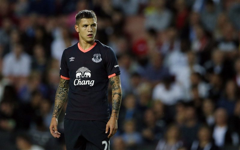 Image for Everton place Muhamed Besic on transfer list and move to sign two replacements