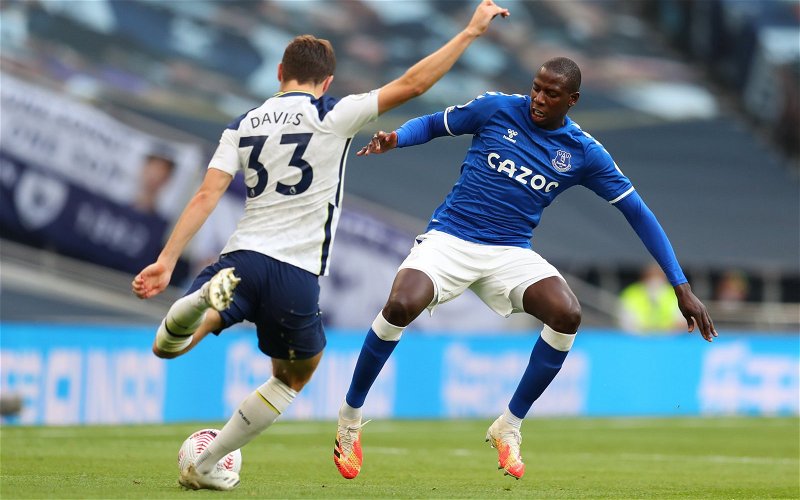 Image for How did Abdoulaye Doucoure fare on his Everton debut versus Tottenham?