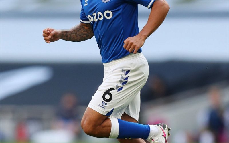 Image for How did Allan fare on his Everton debut versus Tottenham?