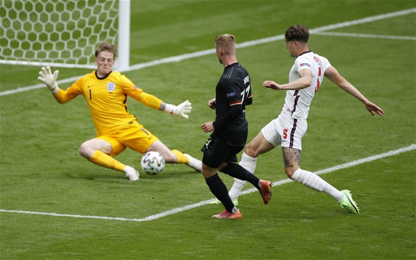 Image for Jordan Pickford’s England heroics are no surprise to Evertonians