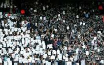 Image for Fulham – A Rollercoaster Ride!