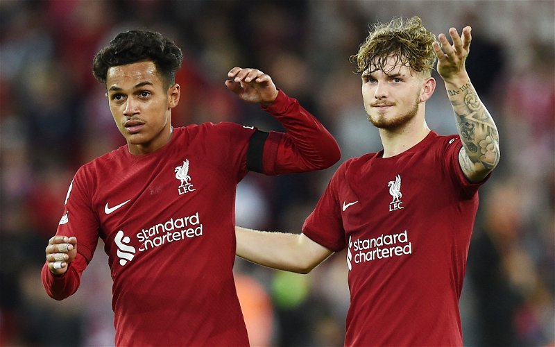 Image for ‘We can start off with a flyer’: 19-year-old Liverpool winger excited for season opener against Fulham