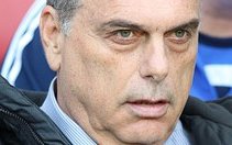 Image for Avram Grant Set To Replace Sven