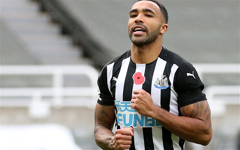 Image for Newcastle injury news: Positives emerge from Callum Wilson’s scan