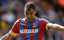 Image for Chamakh Delighted With FA Cup Brace