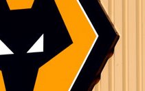 Image for Wolves Tickets – A Rip Off?