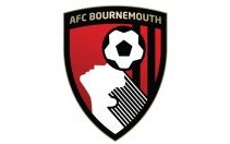 Image for The Championship 2013/14 – Bournemouth