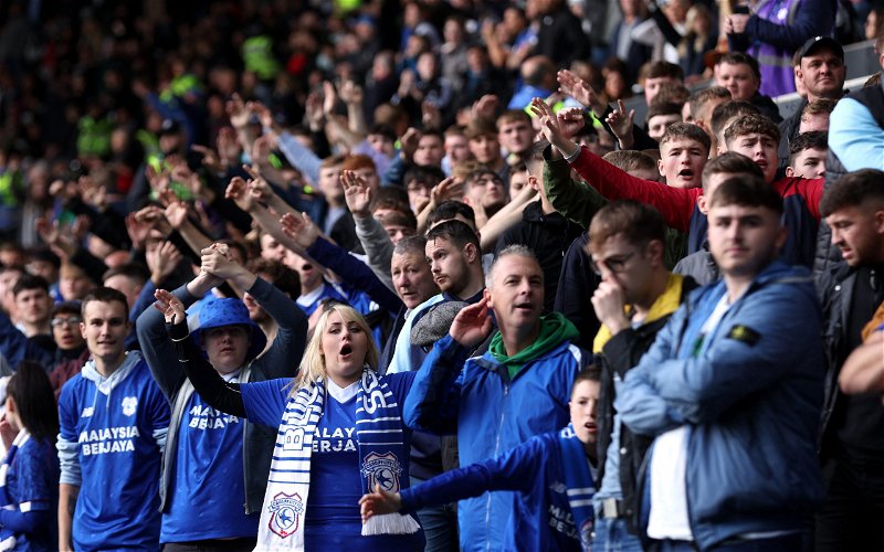 Image for Cardiff City Fans Have Mixed Feelings Ahead Of Saturday