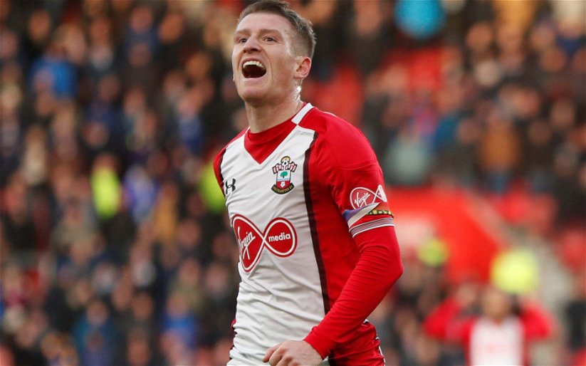 Image for Another Southampton Star Adds His Congratulations After We Successfully Avoid Relegation