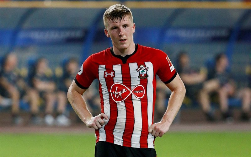 Image for Survival Is Down To One Man According To Talented Southampton Player