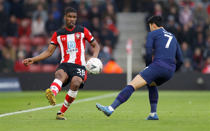Image for Report: Southampton chief hints youngster will have ‘more chances’ following Deadline Day shock