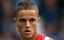 Image for Afellay voted Stoke’s signing of the season
