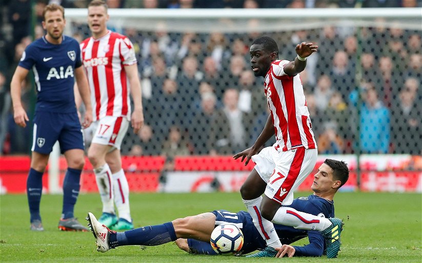 Image for £50,000 Reasons For Stoke Midfielder To Head To Turkey Or Everton