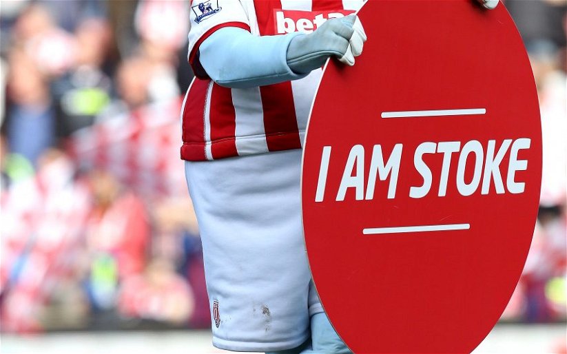 Image for Fans Agree Stoke City Have Three Reasons To Be Positive Despite Relegation
