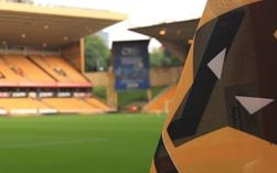 Image for Wolves v Cardiff – Follow On Twitter – 19-8-17