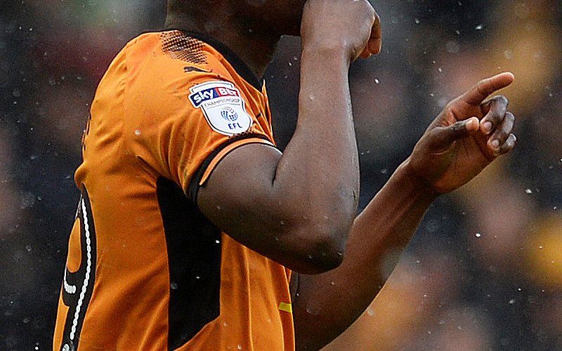 Image for Wolves on the brink of promotion and title