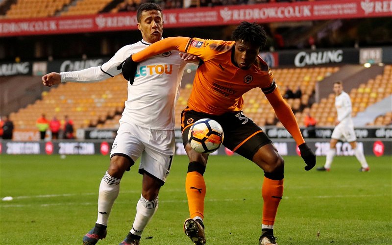 Image for Wolves Forgotten Man Wins Praise For Wednesday Showing