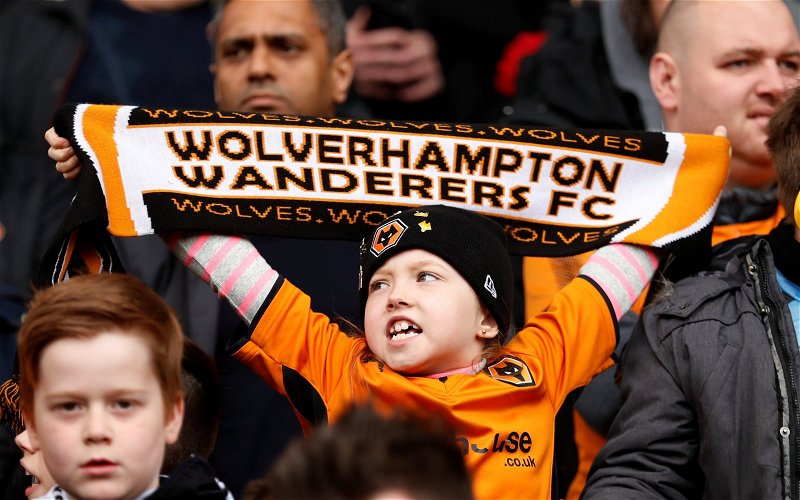 Image for “Could Be A Gem” “Who Knows” – Some Wolves Fans React To Unexpected Signing