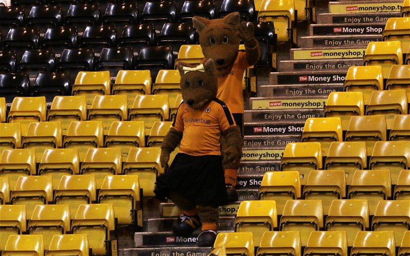 Image for “Would Walk Into Our Defence” – This Transfer Rumour Gets The Thumbs Up From Some Wolves Fans