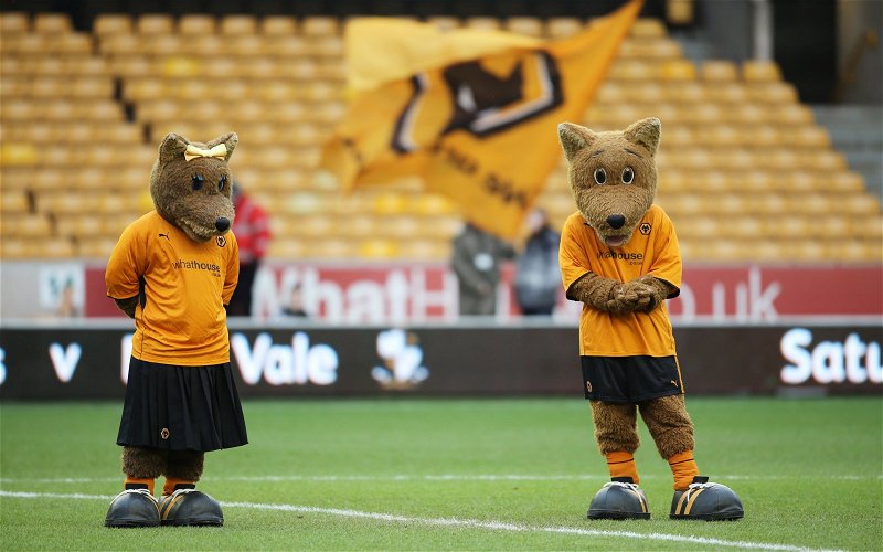 Image for “What Did Stoke & Forest Do To Deserve That” – These Wolves Fans Love EFL Announcement