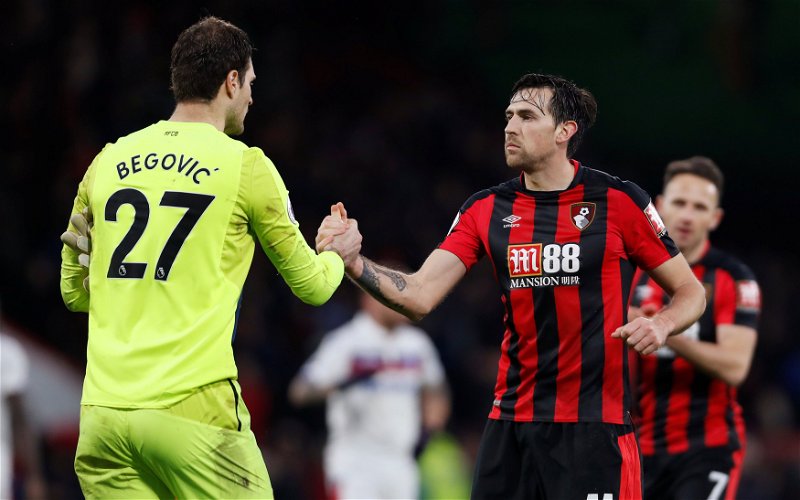 Image for Begovic will dictate his own future