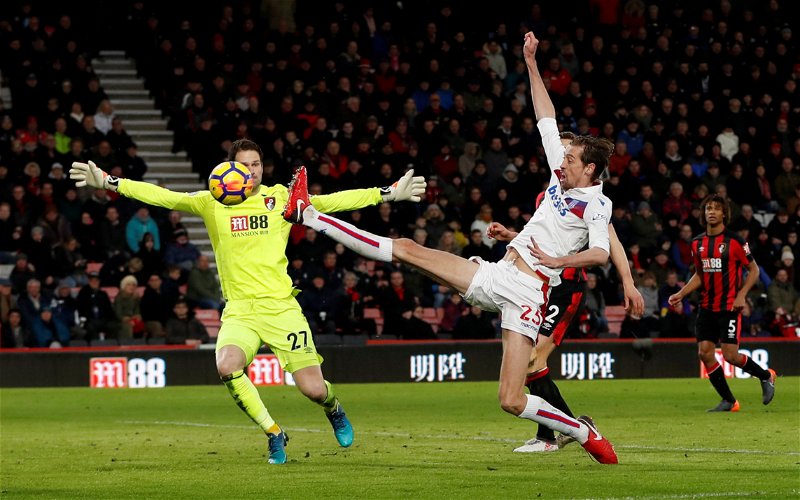Image for Will Bournemouth see an improved second season from Begovic?