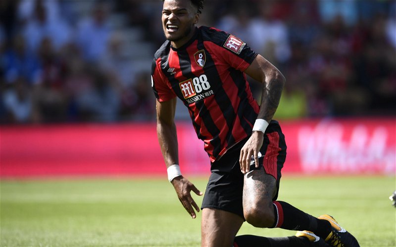 Image for Southampton chase Bournemouth defender