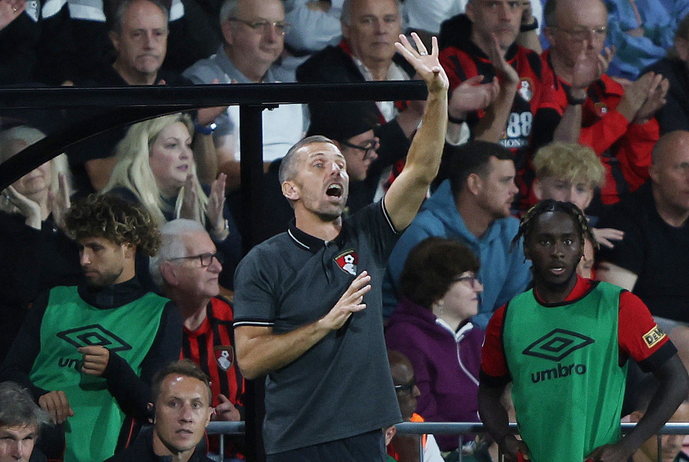 How the upcoming season will pan out for Bournemouth - Vital Bournemouth