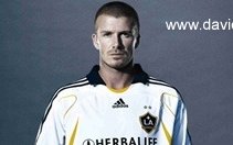 Image for Ipswich Town Want David Beckham
