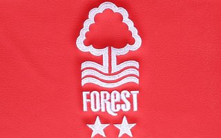 Image for Sporting Director Appointed At Forest