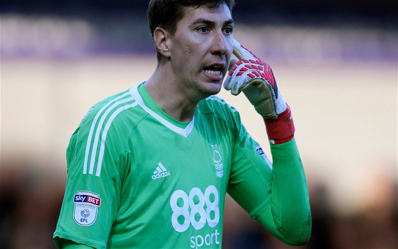 Image for Costel Pantilimon names which two Nottingham Forest signings are ‘strong players’