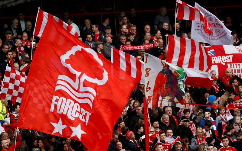 Image for ‘Distressing and utterly disgraceful’ – 10 Things Forest Fans Are Saying As Chairman Mixes Things Up