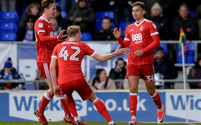 Image for Aitor Karanka will bring 22-year-old back to Nottingham Forest next summer – opinion