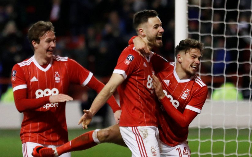 Image for Credit to Karanka For Allowing Forest Starlet To Shine