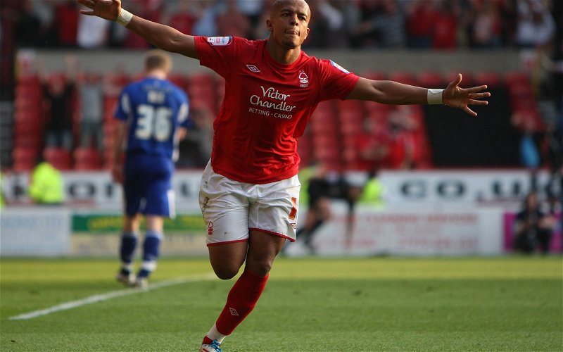 Image for Report: Nottingham Forest legend believes Reds deserve shot at promotion