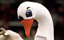 Image for MatchLive: Stockport 2-0 Swans