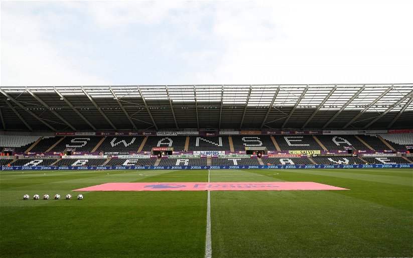 Image for Swansea City Add Another Youngster But Fans Still Left Wondering If Experience Will Follow