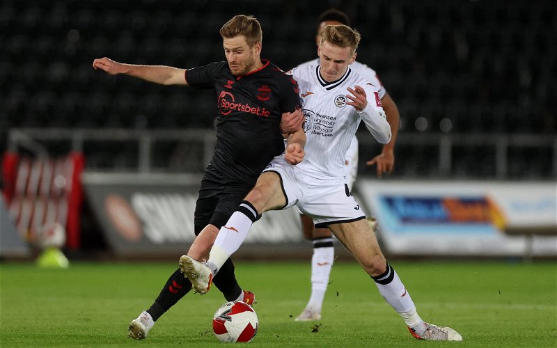Image for Flynn Downes – The type of signing Swansea City need to make