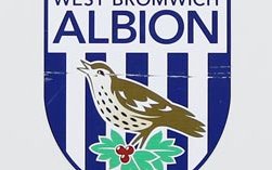 Image for WBA Ace Not Looking To Summer Despite No Contract