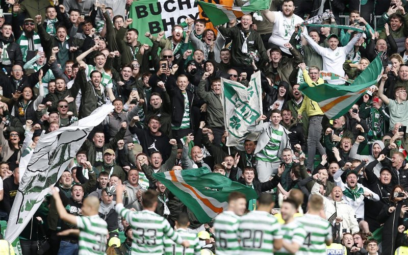 Image for Siamese Bhoy is back and is slating the Celtic fans