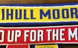 Image for A Year With Solihull Moors